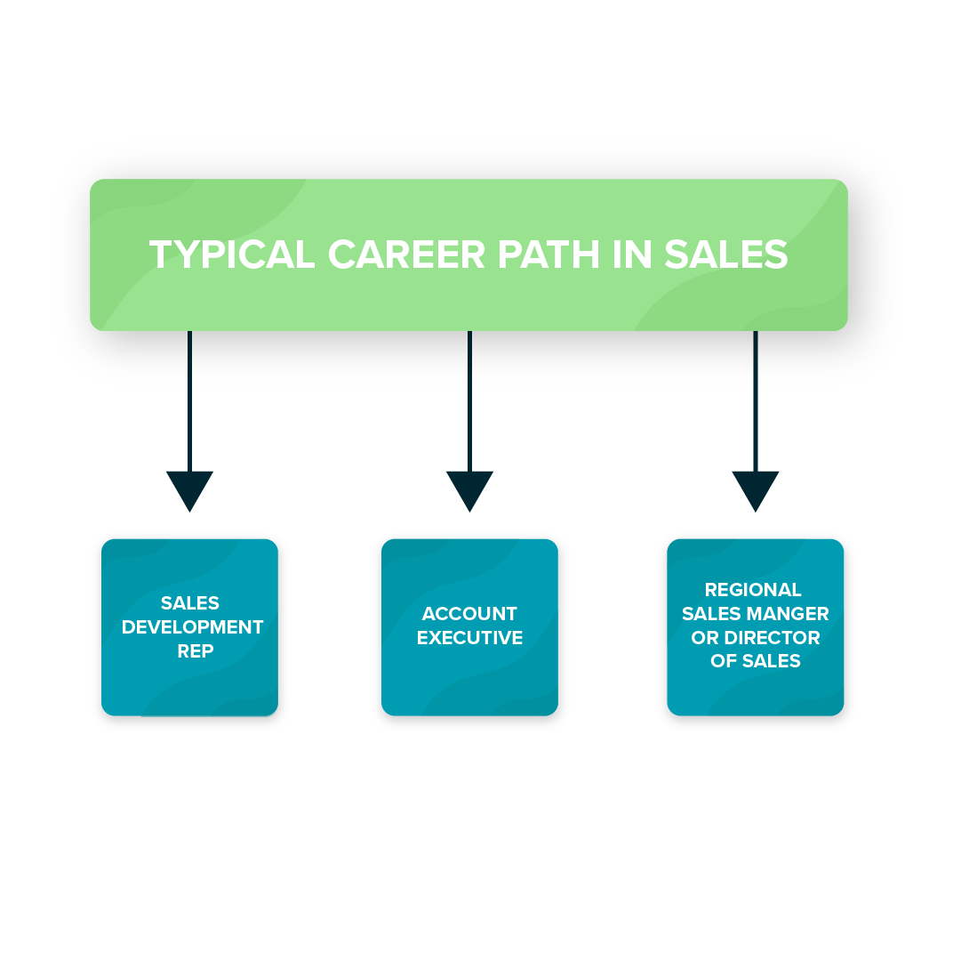 Typical career path in sales mind map