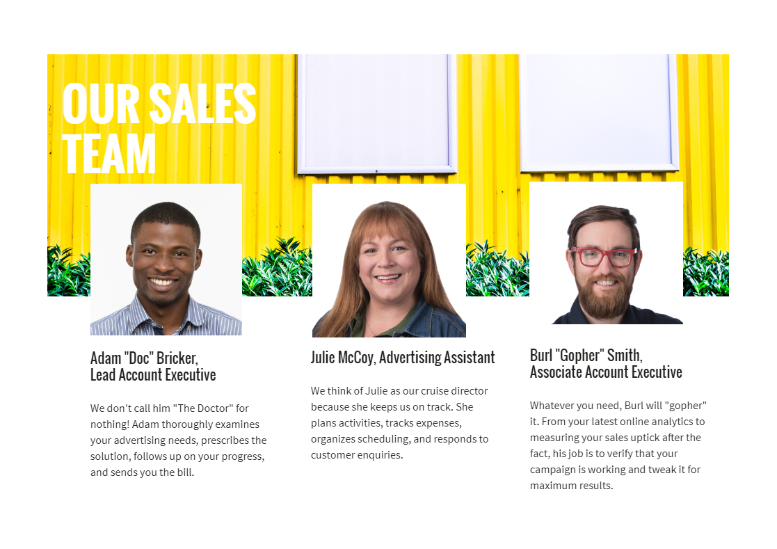 Our Sales Team