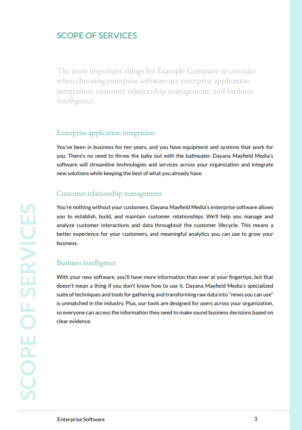 Enterprise software proposal example showing project scope page