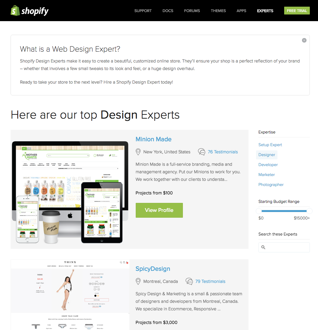 shopify web design expert